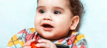 Введение прикорма — когда и с чего начать